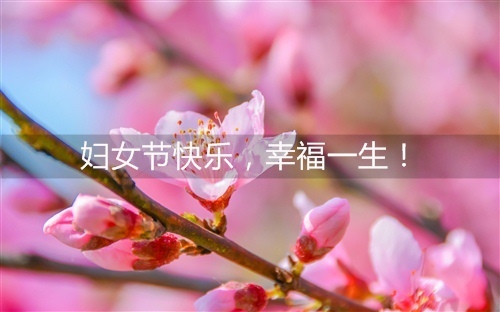发发流水记账系统