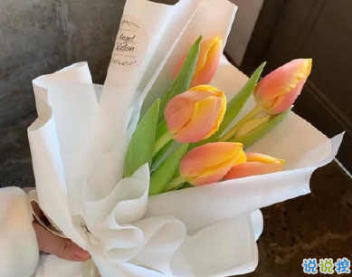 NBA竞猜登录V8.8专业版