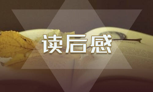 yb体育app官方下载V4.6专业版