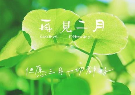 少儿唐诗三百首语音朗读版