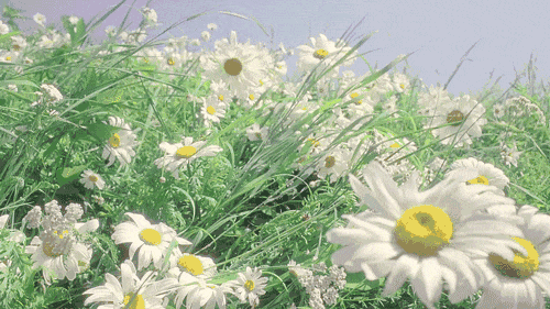 Yabo体育APP安卓版二维码