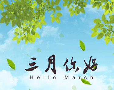 可以体育注册V6.5专业版