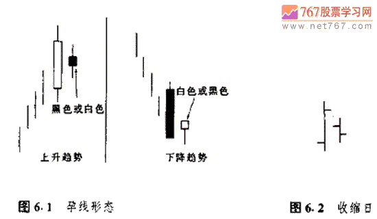 金莎娱乐appV9.6专业版