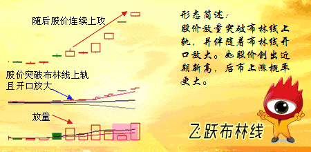 华游体育app
