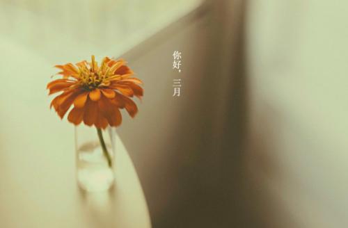 bvtyV3.4专业版