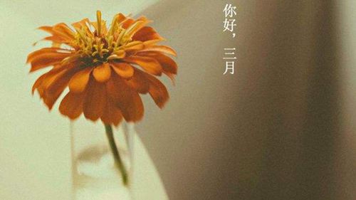 半岛体育官方APP 2025更新 僵尸模式新场景