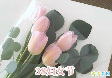 博雅体育app安卓版二维码