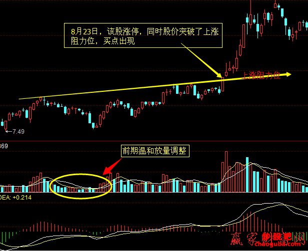 天堂app2025版军队战斗场景