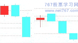 猫先生appV2.2专业版