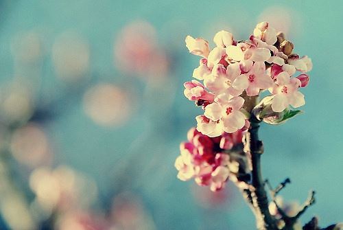 伟博体育官网V8.4专业版