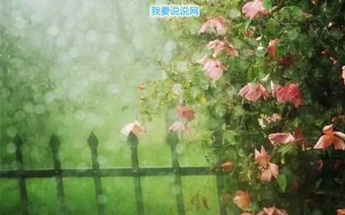 森泽欧体楷书
