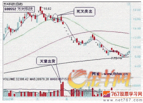 贵州药材APP
