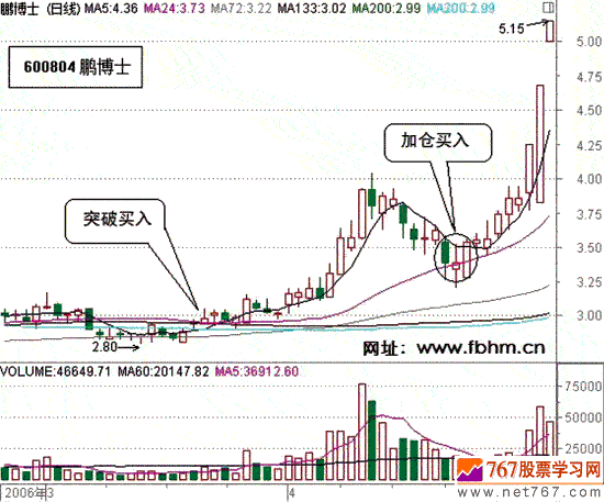 果博appV8.1专业版