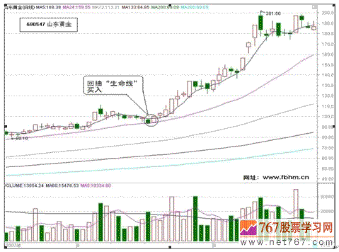 万彩网app下载V7.6专业版