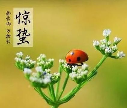 kaiyun体育app官网下载V7.1专业版