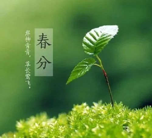 v体育appV1.9专业版