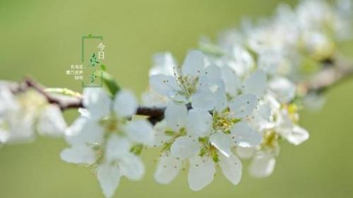 西游捕鱼appV7.1专业版