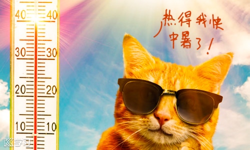 开云app入口app2025最新版装备锻造界面