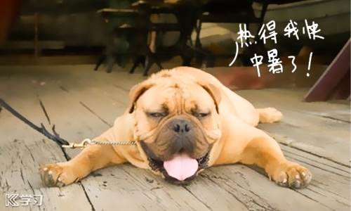 小熊洗车APP