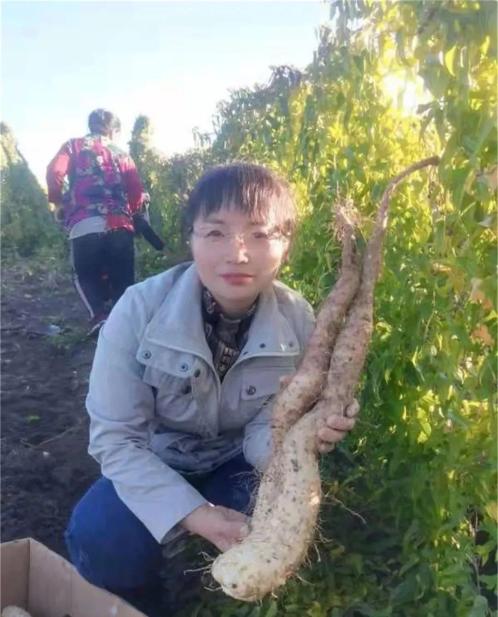 小熊洗车APP