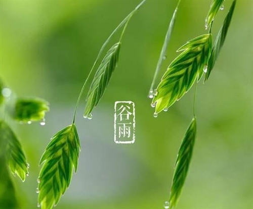 小熊洗车APP