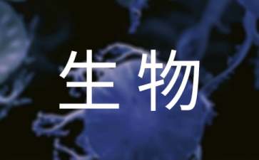 eman安卓版