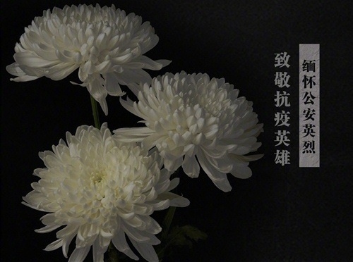 开云电子体育app官网下载V6.7专业版