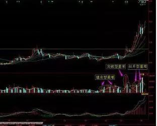 泡泡早教大冒险最新版