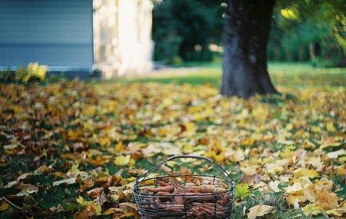 视频分割工具(Ultra Video Splitter)