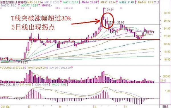 PG电子直营站V6.1专业版