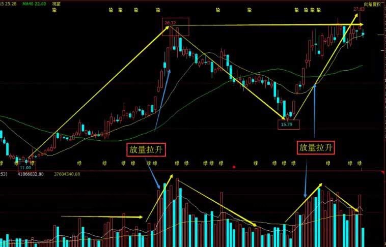 雷竟技appV8.5专业版