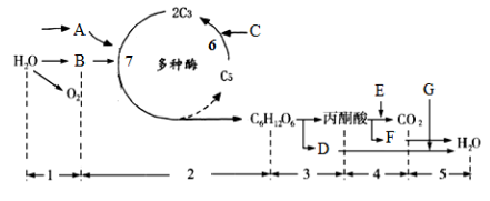 安博体育app安卓版二维码