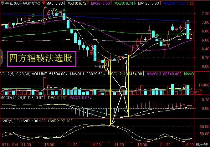 开云首页官方V5.3专业版