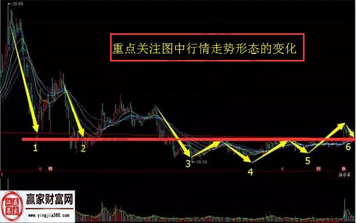 贵州药材APP