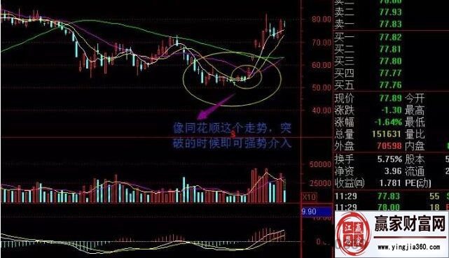 米舒翻译(少数民族翻译)