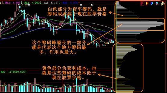 贵州药材APP