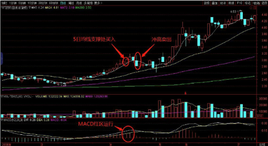 云开国际app安卓版二维码