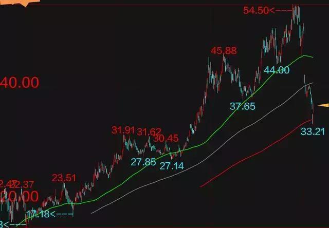 中信彩app安卓版二维码