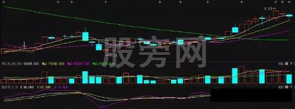 EVEREST Corporate Edition汉化版