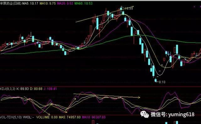 金山词霸2024最新版