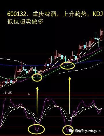 67体育appV6.7专业版