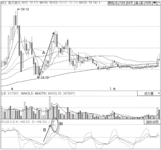 UpcBwrP72Tt条码字体
