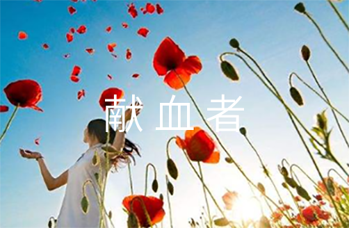 澳门网站appV4.3专业版