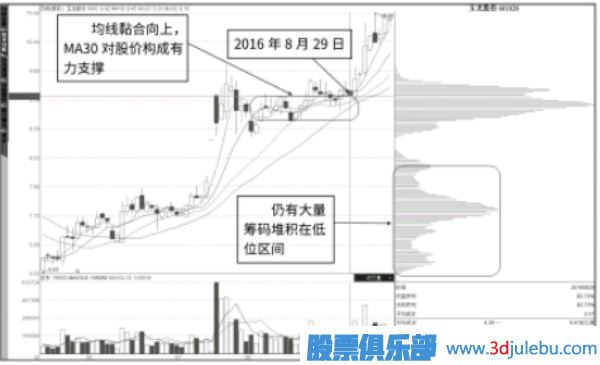 威尼期appV2.4专业版