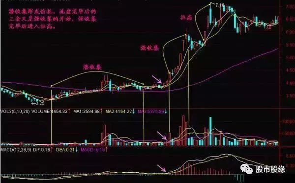 西瓜视频