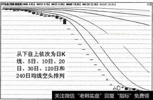 武侠猫