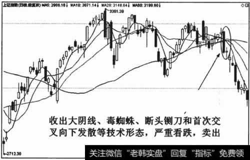 彩船app安卓版二维码