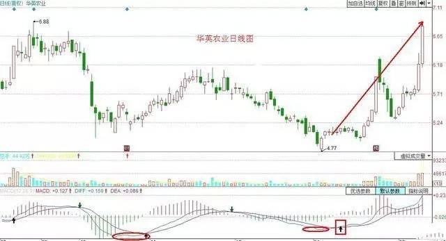 星空足球appV1.4专业版