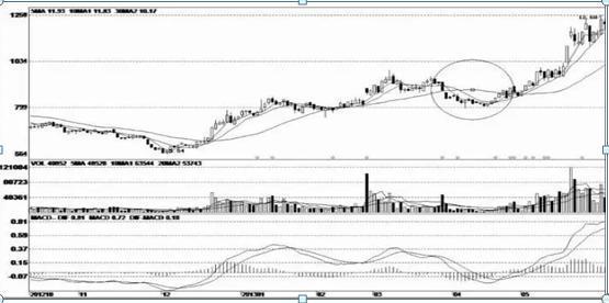 威尼斯人平台app安卓版二维码