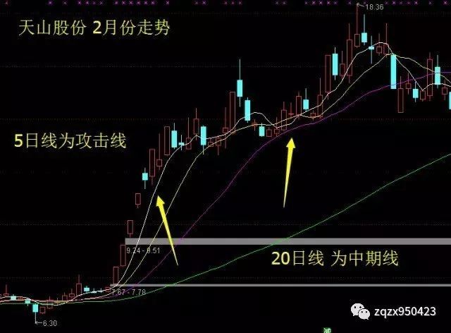 金尊appV4.2专业版